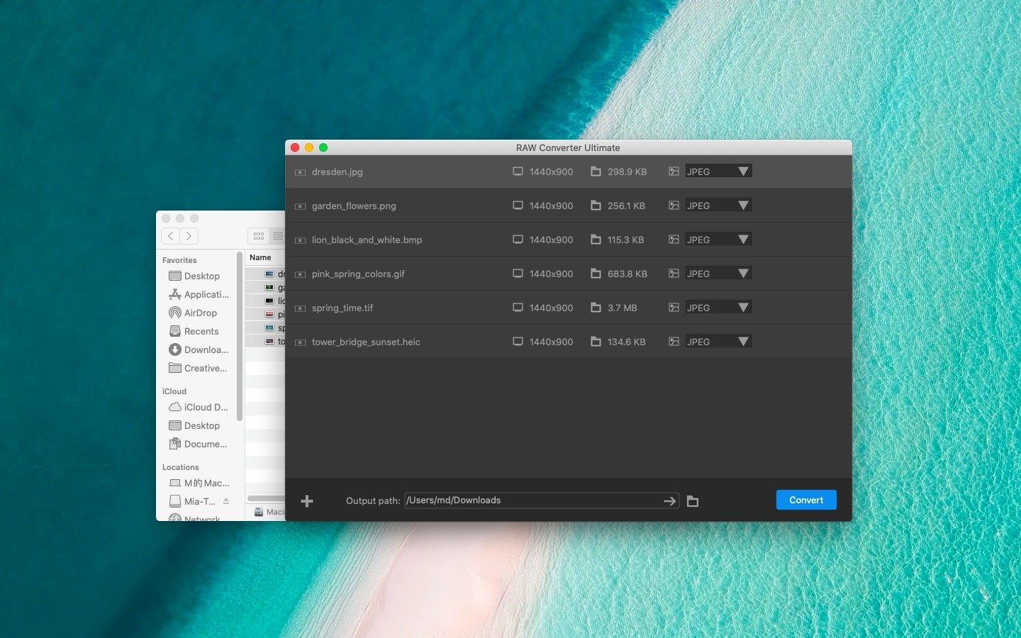 RAW Converter Ultimate screenshot 1